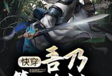 玄幻：吾乃第一剑仙，师承低级武者沈安在柳云沁，玄幻：吾乃第一剑仙，师承低级武者小说免费阅读-艾米文学