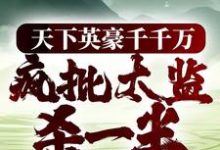 天下英豪千千万，疯批太监杀一半小说最新章节在哪里可以读到？-艾米文学