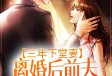 三年下堂妻,离婚后前夫悔不当初小说,三年下堂妻,离婚后前夫悔不当初免费阅读-艾米文学