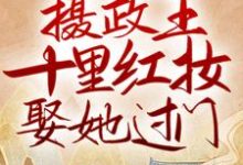 完结版《退婚皇子后,摄政王十里红妆娶她过门》章节阅读-艾米文学