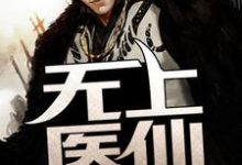 完结版《无上医仙》在线免费阅读-艾米文学