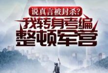 沈赫的故事在哪本书里?免费阅读说真言被封杀?我转身考编整顿军营-艾米文学