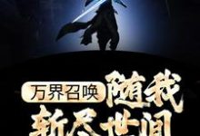 杨帝辰小说《万界召唤：随我斩尽世间一切神》在线阅读-艾米文学