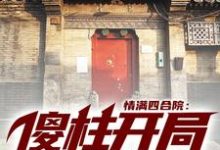 求情满四合院：傻柱开局就结婚小说的全文免费阅读链接-艾米文学