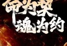李天阳青丝小说叫什么(命为契,魂为约免费阅读)-艾米文学