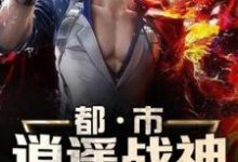 完结版《都市逍遥战神》章节阅读-艾米文学