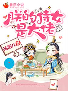 陆锦楚殷修筱襄为主角的小说好看吗？免费读朕的侍女是大佬