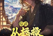 苏玄是哪本书的主角?寻找综武:从拯救殷素素开始免费阅读-艾米文学