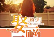 顾少，娶一赠二这本小说怎么样？免费在线阅读试试-艾米文学