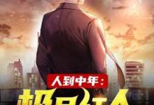 赵腾金露儿是哪本书的主角?寻找人到中年:极品红人免费阅读-艾米文学