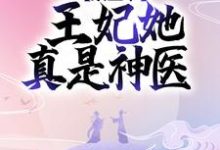 禀王爷,王妃她真是神医 凤倾华战北霄小说在线章节目录阅读最新章节-艾米文学