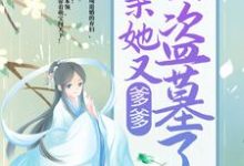 哪里能找到爹爹！娘亲她又去盗墓了小说的全部章节？-艾米文学