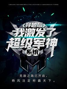 男女主人公叫 杨风洛冰的小说免费资源