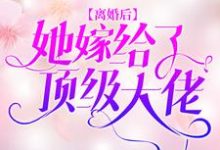 完结版《离婚后,她嫁给了顶级大佬》章节阅读-艾米文学