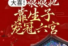 苏缈小说《大喜!娘娘她靠生子宠冠六宫》在线阅读-艾米文学