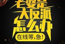 哪里能找到老婆是大反派怎么办,在线等,急!小说的全部章节?-艾米文学