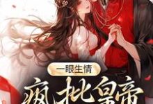 姚莹小说叫什么(一眼生情:疯批皇帝独宠一人免费阅读)-艾米文学