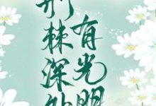 哪里可以免费读到薛澜清龙慕渊的完整故事？寻找荆棘深处有光明-艾米文学