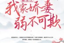 重生之我家娇妻弱不可欺小说阅读,重生之我家娇妻弱不可欺完结版-艾米文学