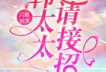 在线搜索安静澜韩泽昊的完整小说，免费阅读闪婚娇宠：韩太太请接招-艾米文学