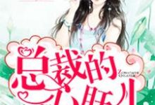 哪里可以免费读到恬心即黑轩的完整故事?寻找总裁的心肝儿-艾米文学