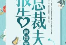 报告总裁夫人，离婚无效！小说完结版章节免费阅读-艾米文学