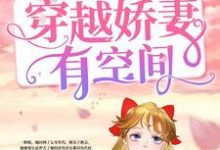 勇闯七零:穿越娇妻有空间小说免费资源,勇闯七零:穿越娇妻有空间在线阅读-艾米文学