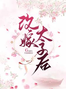 改嫁太子后小说有没有完结版在线？