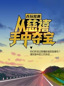古玩捡漏：从慈禧手中夺宝这本小说怎么样？免费在线阅读试试