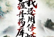 主人公叫 陈玄王千语的小说手握丹药库,我还用修炼?在线阅读章节-艾米文学
