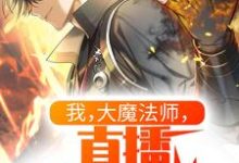 小说《我,大魔法师,直播隔空取物》在线章节阅读-艾米文学
