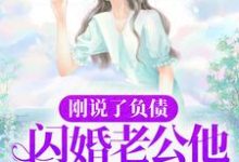 在线寻找于凌瑶温斯臣的小说，刚说了负债，闪婚老公他身份曝光了？免费阅读-艾米文学