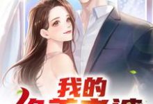 小说《我的绝美老婆》在线章节阅读-艾米文学