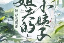 惊！穿成了拐走姐夫的小姨子小说的免费阅读版本在哪里可以找到？-艾米文学