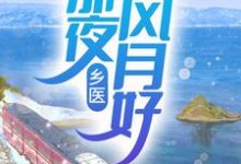 乡医:那夜风月好杨夏,乡医:那夜风月好最新章节-艾米文学