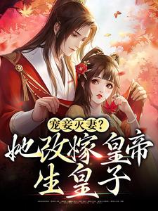 《宠妾灭妻？她改嫁皇帝生皇子》小说章节在线试读，《宠妾灭妻？她改嫁皇帝生皇子》最新章节目录