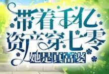 主人公叫阮娇娇季怀安的小说带着千亿资产穿七零，她是真富婆在线阅读章节-艾米文学