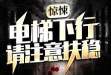 林枫是哪本书的主角?惊悚:电梯下行,请注意扶稳免费读-艾米文学