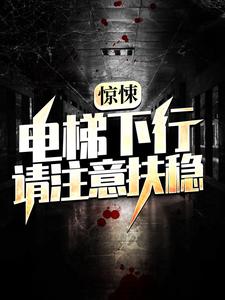 林枫是哪本书的主角？惊悚：电梯下行，请注意扶稳免费读