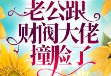 相亲闪婚后,老公跟财阀大佬撞脸了小说,相亲闪婚后,老公跟财阀大佬撞脸了章节在线阅读-艾米文学