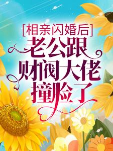 相亲闪婚后，老公跟财阀大佬撞脸了小说，相亲闪婚后，老公跟财阀大佬撞脸了章节在线阅读