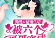 《满级大佬重生后，被六个哥哥宠成天上月》小说章节列表免费试读，唐贝儿战连钰小说在线阅读-艾米文学