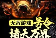 已完结小说《无敌游戏:号令诸天万界当魔君》最新章节-艾米文学