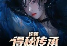 姜小川苏玉的故事在哪本书里?免费阅读逆袭:得秘传承反杀心机女-艾米文学