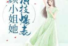 顾小姐她演技爆表小说有没有完结版在线?-艾米文学