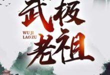 武极老祖免费阅读，武极老祖林炎灵皇-艾米文学