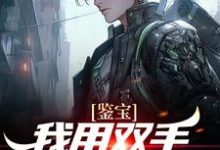 曾良君林青翎的故事在哪本书里?免费阅读鉴宝:我用双手称霸学术界-艾米文学