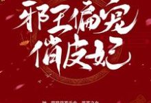 邪王偏宠俏皮妃免费阅读，邪王偏宠俏皮妃章节目录-艾米文学