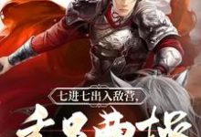 燕重云为主角的小说好看吗？求三国：千里外取敌首级，此乃大将！免费试读-艾米文学