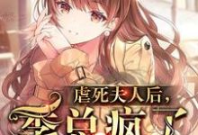 男女主人公慕清清季言川小说虐死夫人后,季总疯了章节免费阅读-艾米文学